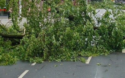 Tempêtes Eunice et Franklin : quels dispositifs pour l’indemnisation des dommages causés ?