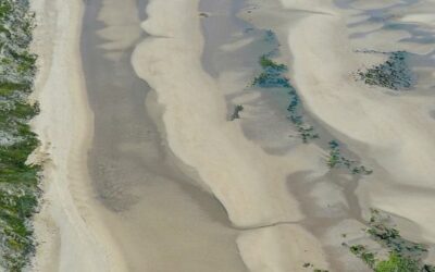 Recul du trait de côte : l’AMF et l’ANEL saisissent le Conseil d’État