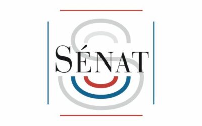 Deux rapports du Sénat sur la revitalisation des centres-villes et les services déconcentrés de l’État
