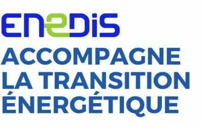 Retour sur le webinaire « Enedis accompagne la transition énergétique »