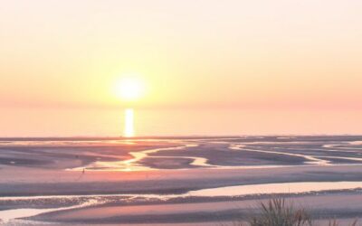 6e édition de la Fête de la Mer et des Littoraux du 7 juin au 7 juillet 2024