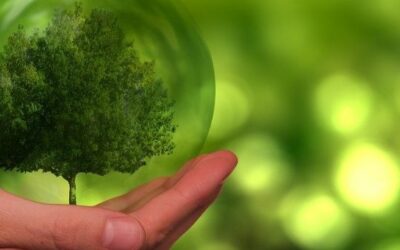 Événement ADEME : le 16 juillet 2024 aura lieu la réunion du réseau des élus pour agir des Hauts-de-France