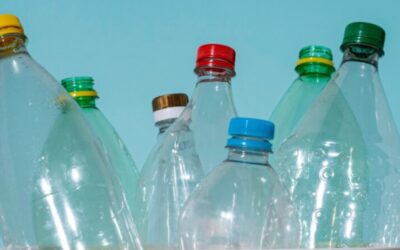 Consigne des bouteilles en plastique : les collectivités dénoncent une « fausse bonne idée » environnementale