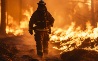 Incendies : l’AMF appelle les communes à se mobiliser en soutien aux territoires sinistrés